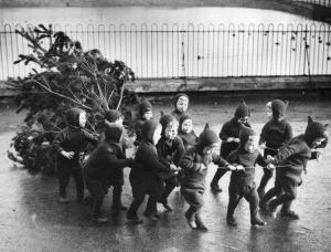 529240_535310406512748_449877124_n