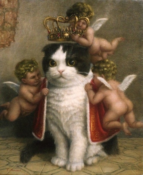 king_of_the_internet_6425077645