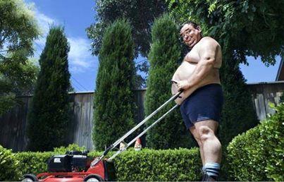 1012662_270212419796341_1866771535_n