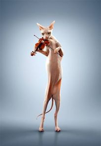 1601128_276092885874961_397919712_n