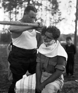 1510570_292590934225156_1308970590_n