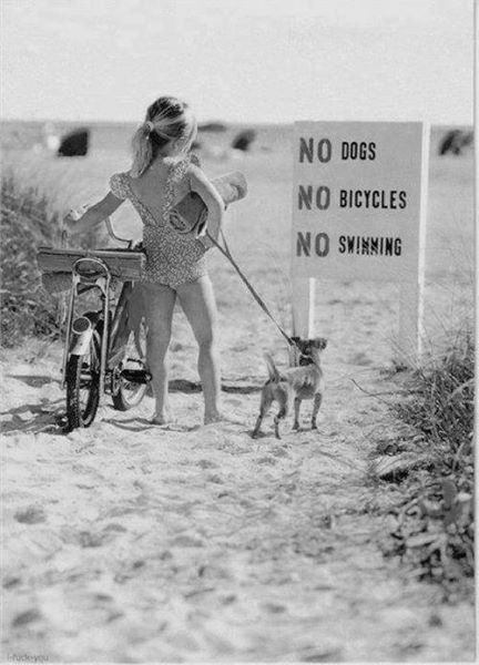 1622112_313000748850841_8228742094085877526_n