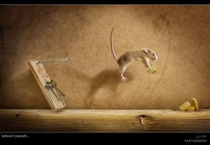 10440962_371658416318407_7426357701331132951_n