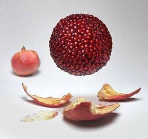 1912010_382183175265931_7650459344147114580_n