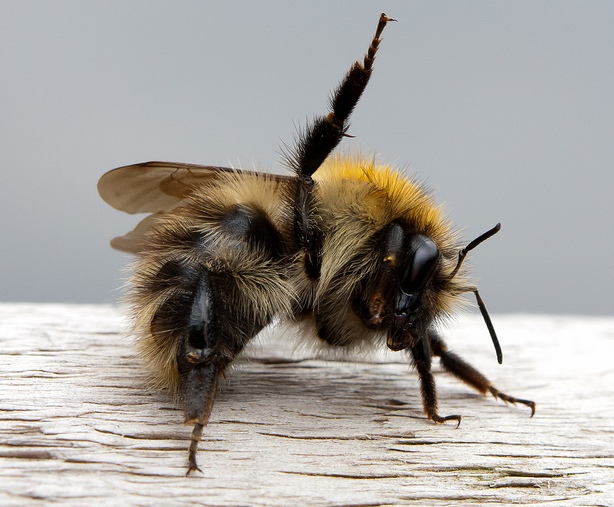 5884190063_f3dde5c28f_z