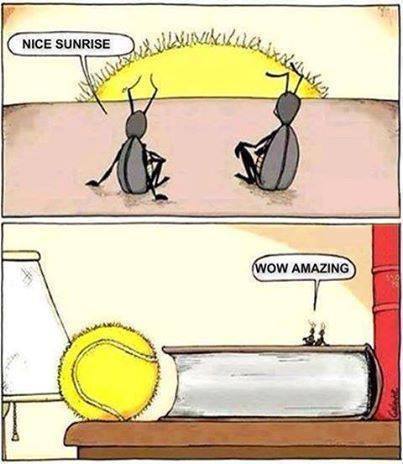 10393908_408124646005117_5665783739619904574_n