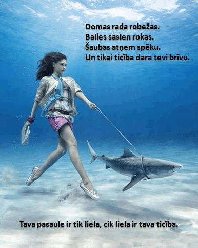 10850170_411560585661523_2888105875001334211_n