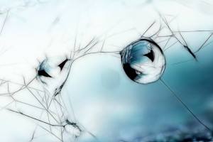 10959475_439080569576191_3228996405144565625_n