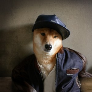 2-Menswear-Dog