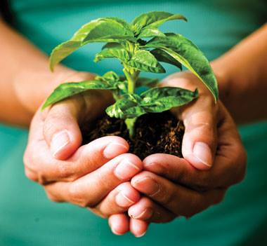 12472763_600962860054627_359518278196776868_n