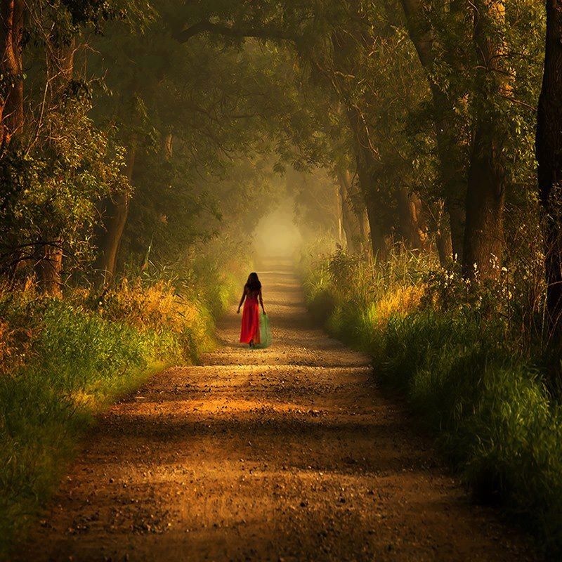 13342951_632788490205397_1698527622311638213_n