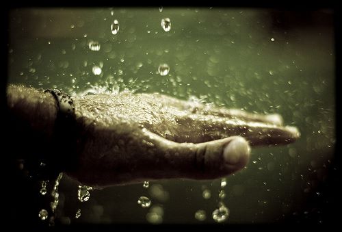 15747642_743729465777965_774887909584799087_n