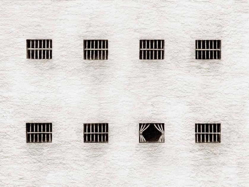 15972813_755926507891594_5701908786164347264_o