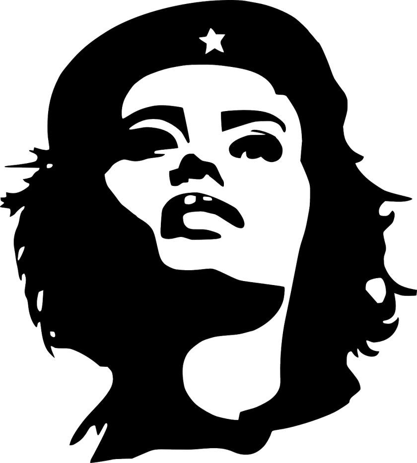 che-guevara-155929_1280